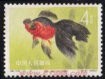 DM-特38-E(12-2)金魚(4分)