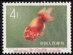 DM-特38-A(12-4)金魚(4分)