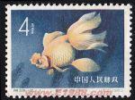 DM-特38-F(12-1)金魚(4分)