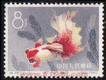 DM-特38-A(12-11)金魚(8分)