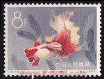 DM-特38-B(12-11)金魚(8分)
