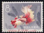 DM-特38-C(12-11)金魚(8分)