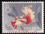 DM-特38-K(12-11)金魚(8分)