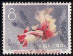 DM-特38-R(12-11)金魚(8分)