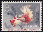 DM-特38-S(12-11)金魚(8分)