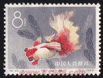 DM-特38-T(12-11)金魚(8分)