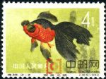 DM-特38-X(12-2)金魚(4分)