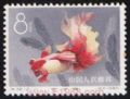 DM-特38-V(12-11)金魚(8分)