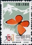 DM-特56-(20-19)蝴蝶(30分)