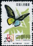 DM-特56-(20-16)蝴蝶(20分)