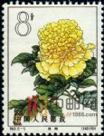 DM-特61-(15-5)牡丹(8分)