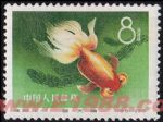 DM-特38-A(12-7)金魚(8分)