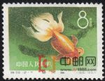 DM-特38-B(12-7)金魚(8分)