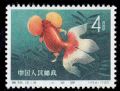 DM-特38-(12-3)金魚(8分)