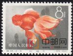 DM-特38-A(12-8)金魚(8分)