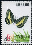 DM-特56-(20-5)蝴蝶(4分)