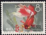 DM-特38-I(12-12)金魚(8分)