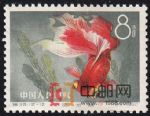 DM-特38-J(12-12)金魚(8分)