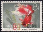 DM-特38-L(12-12)金魚(8分)