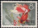 DM-特38-N(12-12)金魚(8分)