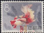 DM-特38-P(12-11)金魚(8分)
