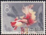 DM-特38-N(12-11)金魚(8分)