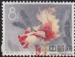 DM-特38-M(12-11)金魚(8分)