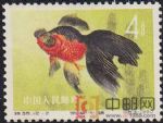 DM-特38-Q(12-2)金魚(4分)