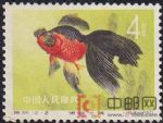 DM-特38-T(12-2)金魚(4分)