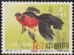 DM-特38-W(12-2)金魚(4分)