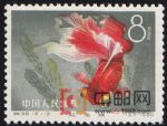 DM-特38-O(12-12)金魚(8分)