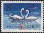 DM-T83-(4-2)天鵝(8分)