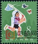 DM-T41-(6-4)從小愛科學(8分)
