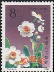 DM-T147-(4-1)水仙花(8分)