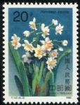 DM-T147-(4-2)水仙花(20分)