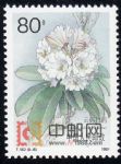 DM-T162-(8-6)杜鵑花(80分)