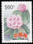 DM-T162-(8-8)杜鵑花(1.6元)