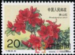 DM-T162-(8-3)杜鵑花(20分)
