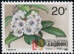 DM-T162-(8-4)杜鵑花(20分)