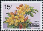 DM-T162-(8-2)杜鵑花(15分)
