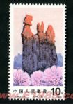 DM-T64-(5-4)石林(10分)