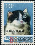 DM-T29-(10-4)工藝美術(10分)