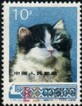 DM-T29-(10-4)工藝美術(shù)(10分)