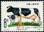 DM-T63-(6-4)畜牧業--牛(8分)
