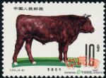 DM-T63-(6-5)畜牧業--牛(10分)