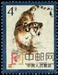 DM-T40-(3-1)東北虎(4分)