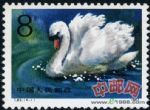 DM-T83-(4-1)天鵝(8分)
