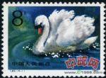 DM-T83-(4-1)天鵝(8分)
