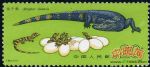 DM-T85-(2-2)揚子鱷(20分)