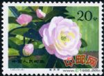DM-T37-(10-5)云南山茶花(20分)